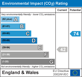 Environmental impact chart