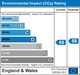 Environmental impact chart