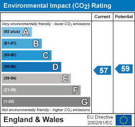 Environmental impact chart