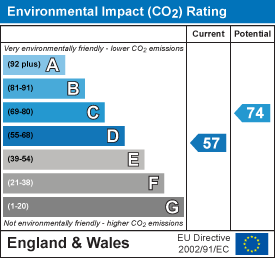 Environmental impact chart