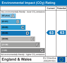 Environmental impact chart