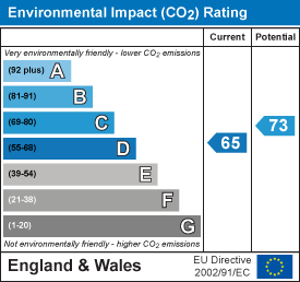 Environmental impact chart