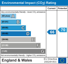 Environmental impact chart