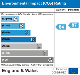 Environmental impact chart